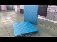I pallet di plastica bidirezionali di conservazione frigorifera dell'entrata della schiuma di EPP scelgono affrontato