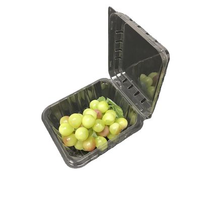 L'imballaggio di plastica della fragola inscatola i contenitori della copertura superiore dell'ANIMALE DOMESTICO