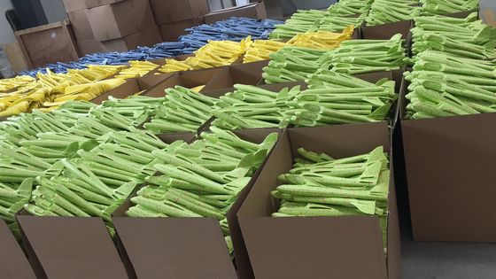Progettazioni di lancio durevoli dell'OEM degli aerei della schiuma di EPP di protezione dell'ambiente