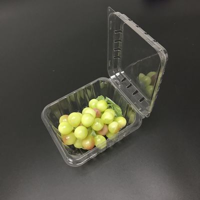 Scatola del pacchetto del cestello delle scatole di imballaggio di plastica di resistenza della corrosione
