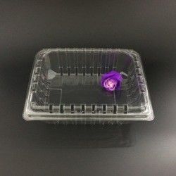 Scatola del pacchetto del cestello delle scatole di imballaggio di plastica di resistenza della corrosione