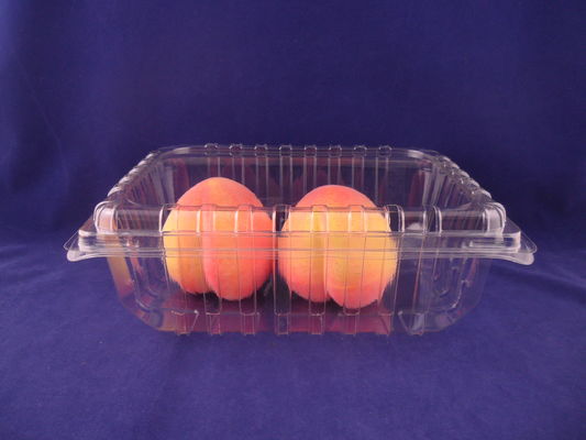L'imballaggio di plastica della fragola inscatola i contenitori della copertura superiore dell'ANIMALE DOMESTICO