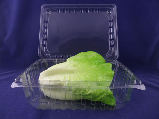 Commestibile la soluzione delle scatole dell'imballaggio di plastica eliminabile